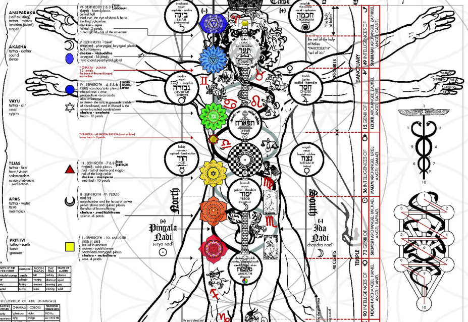 The Occult Anatomy Of Man